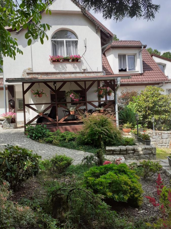 Willa Parkowa Szklarska Poręba Exterior foto