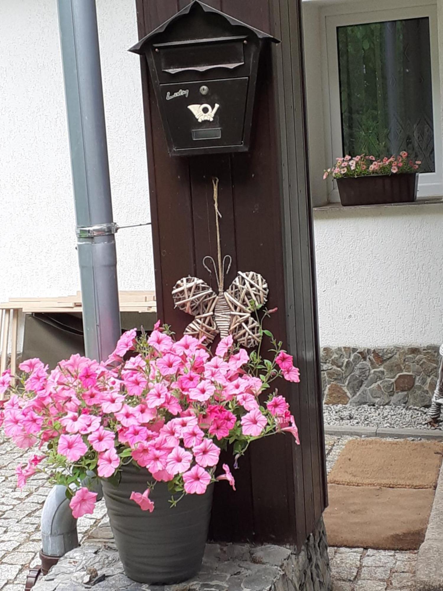 Willa Parkowa Apartamento Szklarska Poręba Exterior foto