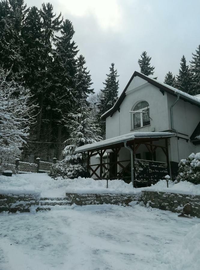 Willa Parkowa Apartamento Szklarska Poręba Exterior foto