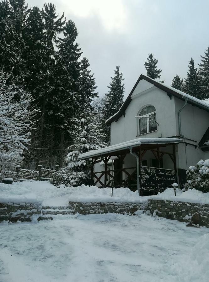 Willa Parkowa Szklarska Poręba Exterior foto